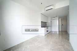 Amber Park (D15), Condominium #595774721